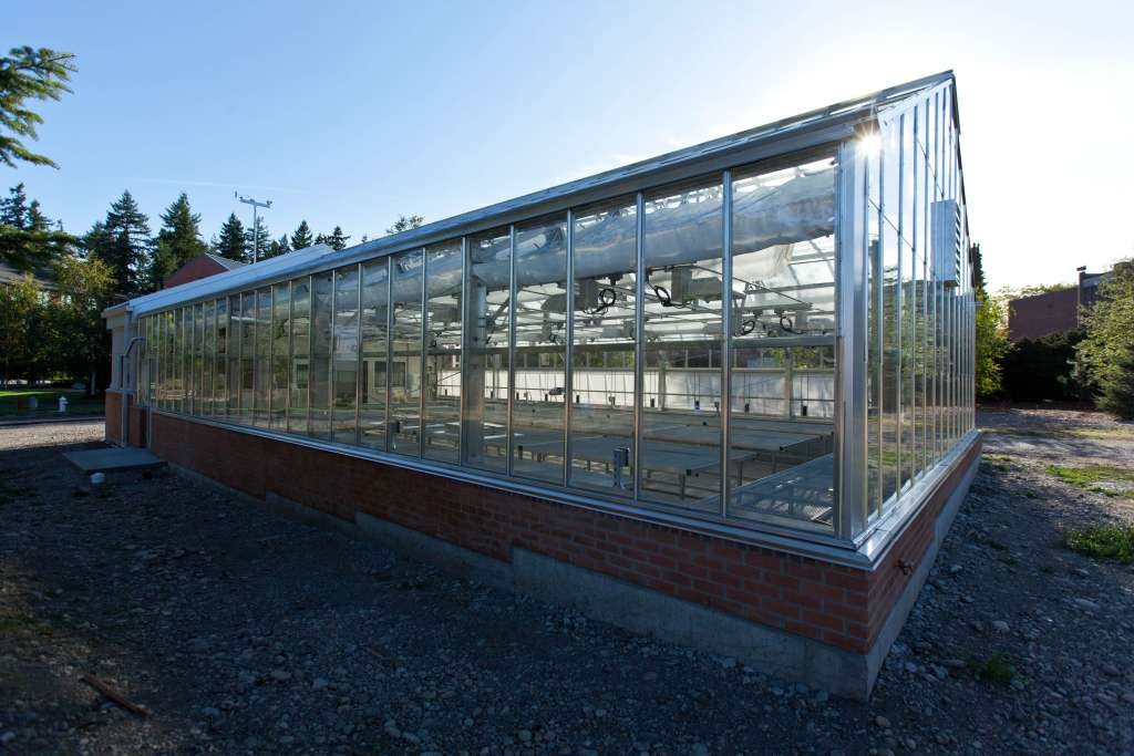Greenhouse nears completion at PLU on Tuesday, Sept. 15, 2015. (Photo: John Froschauer/PLU)