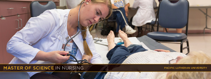 Master of science in nursing non thesis
