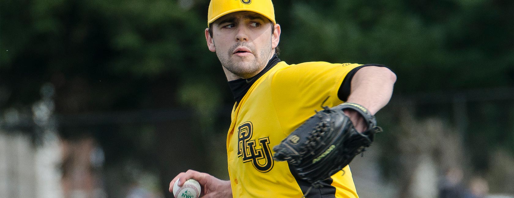 baseball-banner