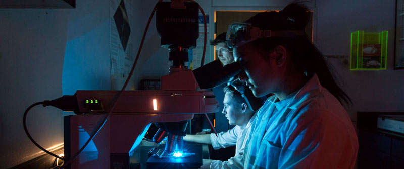 Researchers in a dimly lit laboratory work with a microscope emitting blue light. One person peers into the microscope while others observe, surrounded by scientific equipment.