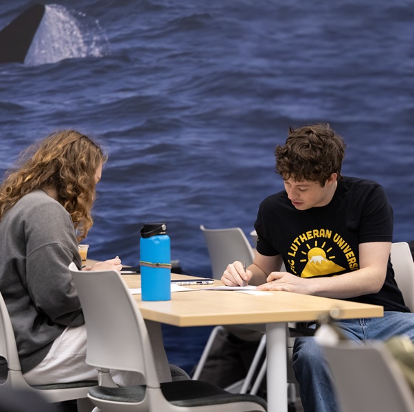 Students studying