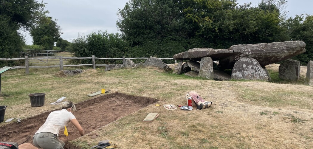 Students working in a field