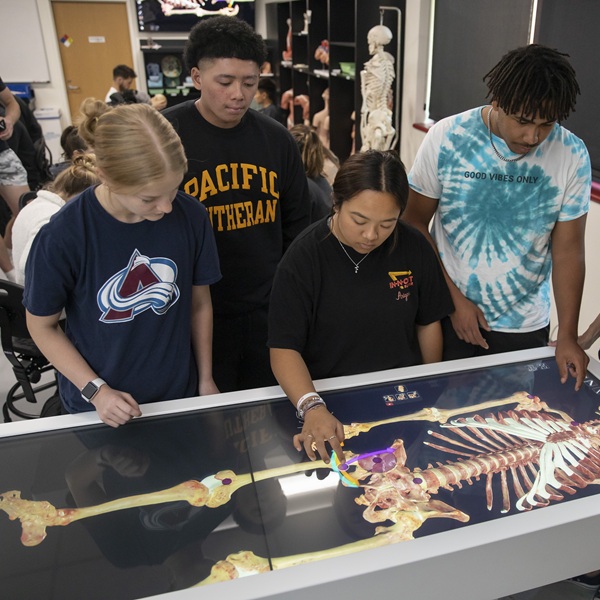Students working with a human skeleton on interactive screen