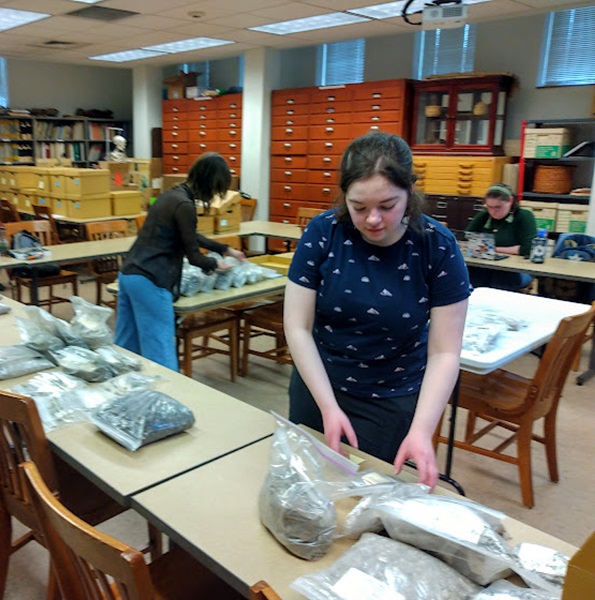 Students busy at work in the lab