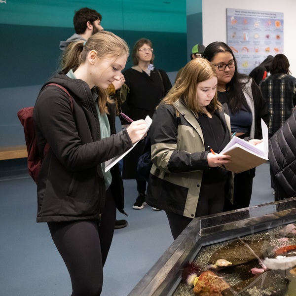 Students on a field trip to the Point Defiance Zoo and Aquarium