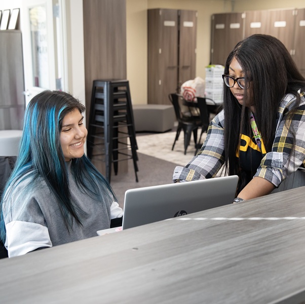 Students studying together