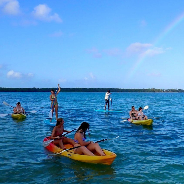 PLU students kayaking in the Pacific Northwest Sea