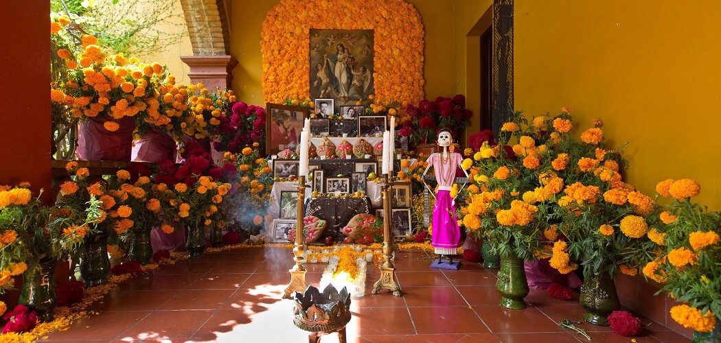 Study away in Oaxaca Mexico on Friday, Oct. 30, 2015. (Photo: John Froschauer/PLU)