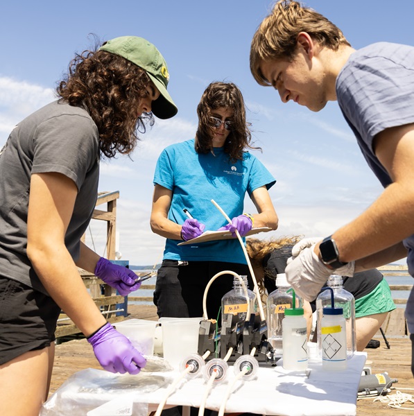 A group of student summer researchers, lead by Assistant Professor of Chemistry Angie Boysen, take water samples on the Puget Sound