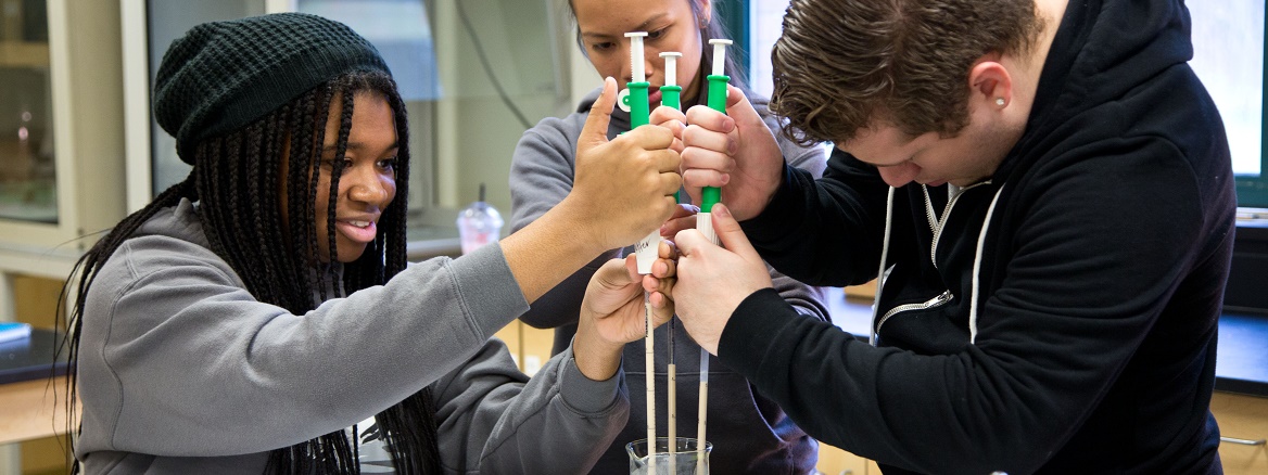 Three biology students working on a lab