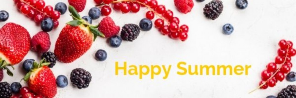 Summer visit web banner 1168x389