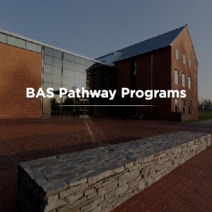 BAS Pathway Programs