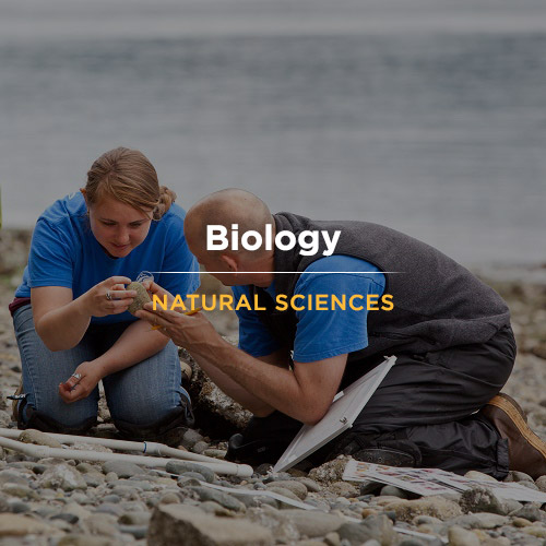 Prof. Michael Behrens, right, and Stena Troyer '12, along with Anthony Pennington, volunteer, look closely while working on a survey on a beach at Narrows Park in Gig Harbor on Thursday, June 12, 2014. (Photo/John Froschauer)