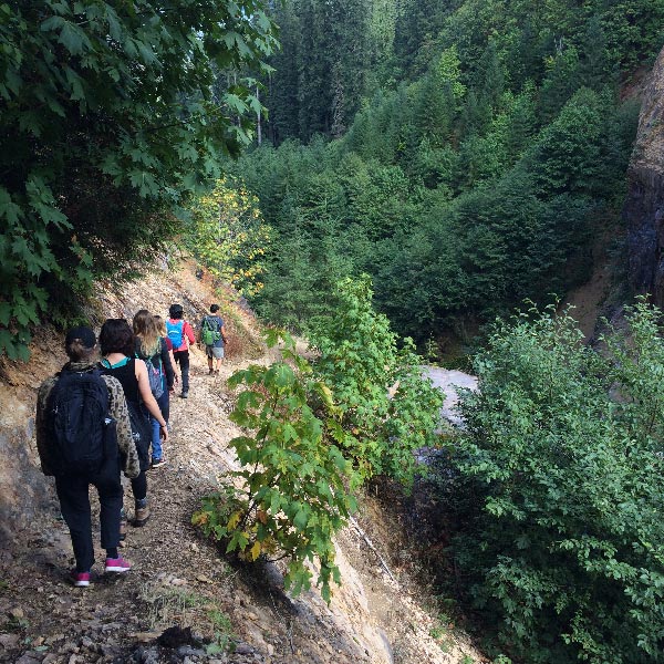 A group of PLU hikers with backpacks walks along a narrow forest trail, surrounded by lush green trees and a steep hillside.