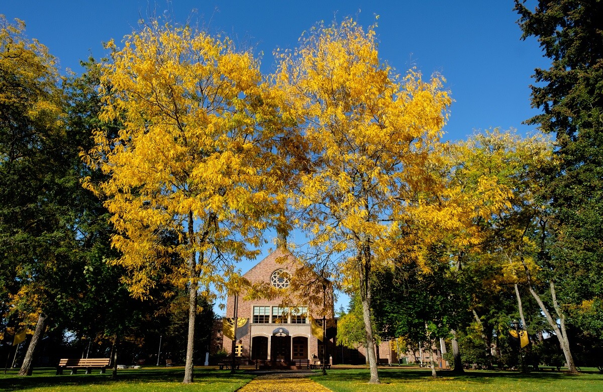 Fall color in the sunshine at PLU