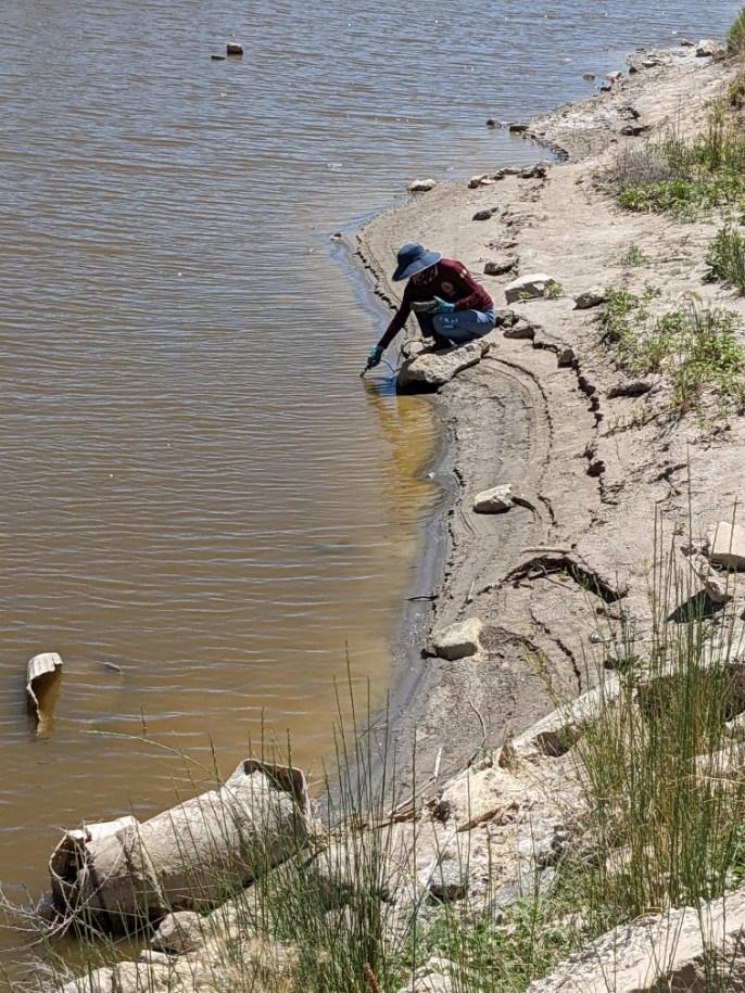 Fiona Ashton-Knochel takes samples of water from a lake in the desert.