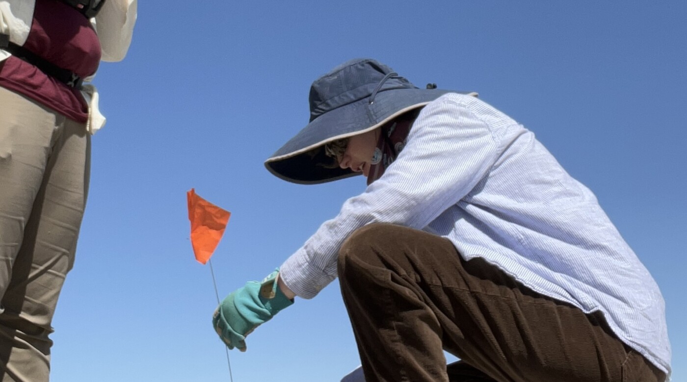Fiona Ashton-Knochel sticks a marker with an orange flag into the dirt in a desert field. She is wearing brown pants, black boots, long-sleeve white button up shirt and a blue hat.