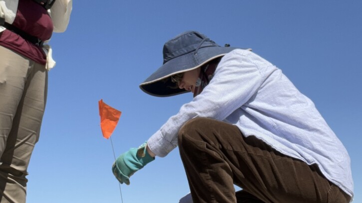 Fiona Ashton-Knochel sticks a marker with an orange flag into the dirt in a desert field. She is wearing brown pants, black boots, long-sleeve white button up shirt and a blue hat.