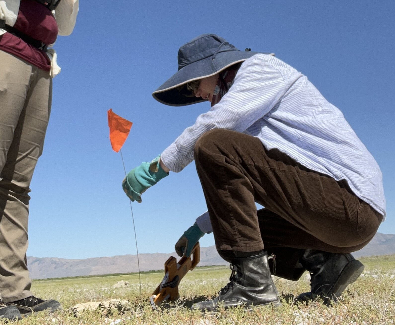 Summer Internships Environmental Studies Admission PLU