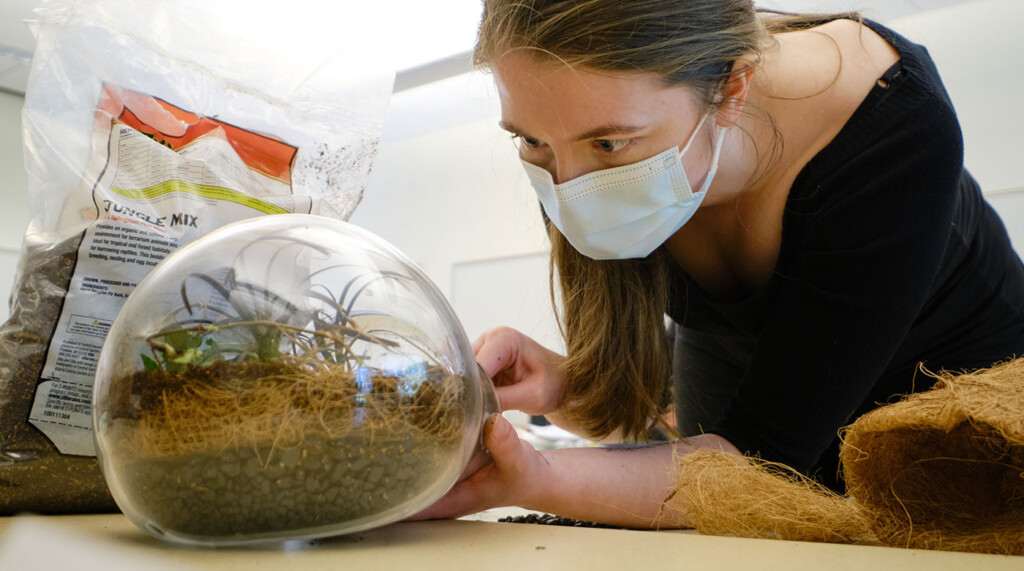A student leans over a table inserting twigs into a glass jar.