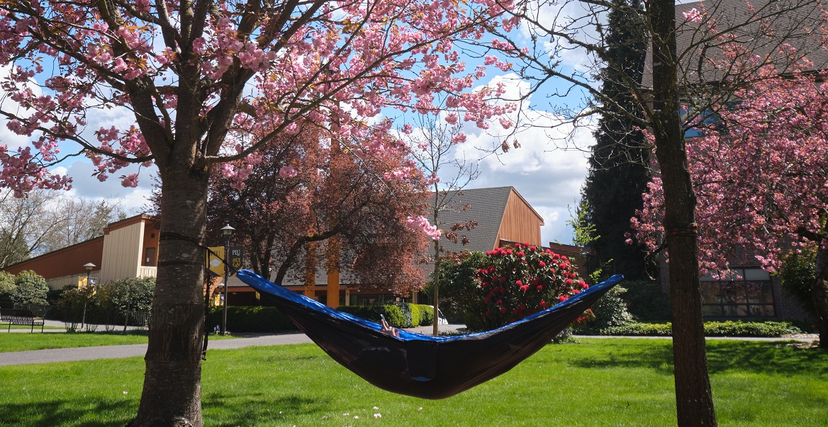 Spring Preview Day Web Banner A student lays in a blue hammock on campus on a sunny spring day. The trees holding the hammock have pink blossoms.