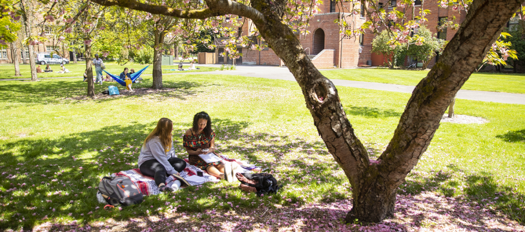 Two students sit on a blanket in the shade of a pink flowering tree on the PLU campus. Behind them is sunshine, a red brick building and another student in a hammock.