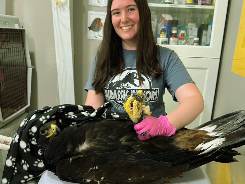 Student looks into the camera and weighs a bird on the scale.