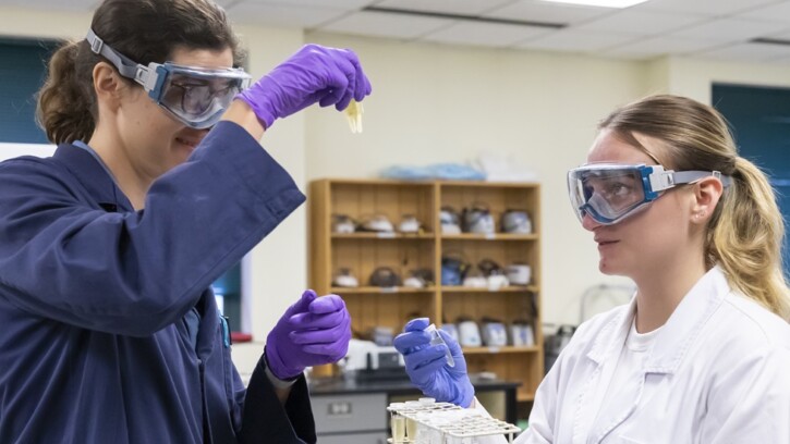 Students conduct summer research under the supervision of assistant professor Angie Boysen, Tuesday, July 25, 2023, in the Rieke Science Center at PLU. (PLU Photo / Sy Bean)