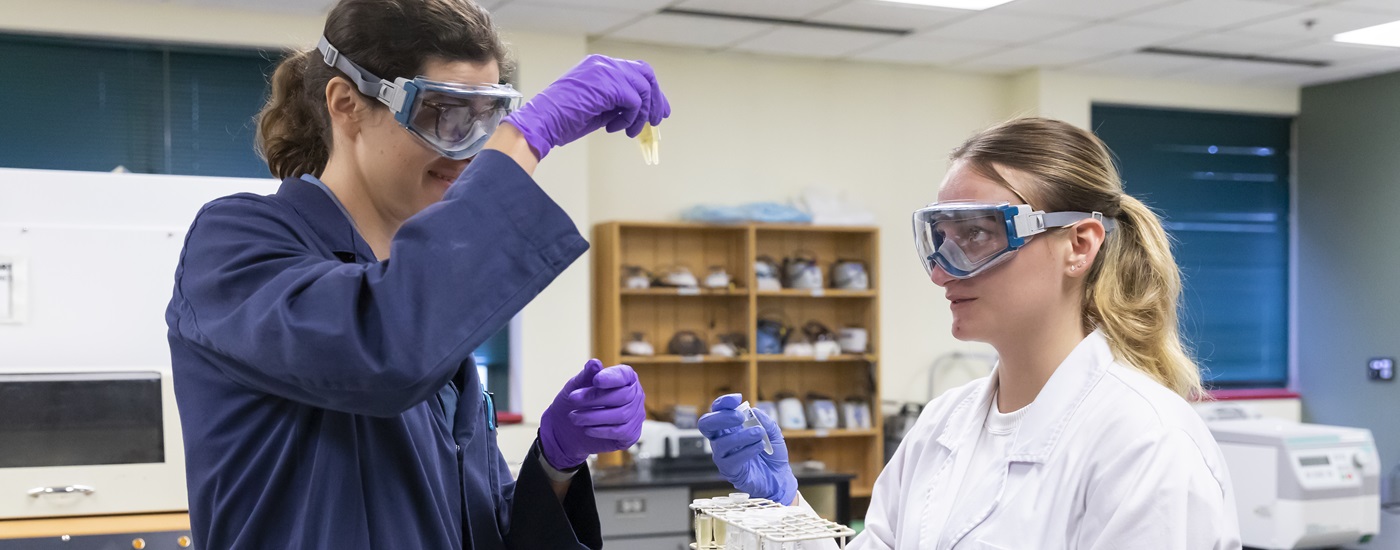 Students conduct summer research under the supervision of assistant professor Angie Boysen, Tuesday, July 25, 2023, in the Rieke Science Center at PLU. (PLU Photo / Sy Bean)