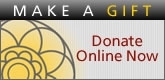 Donate button