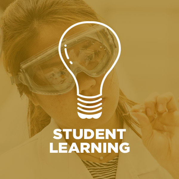 Student Learning Student Learning