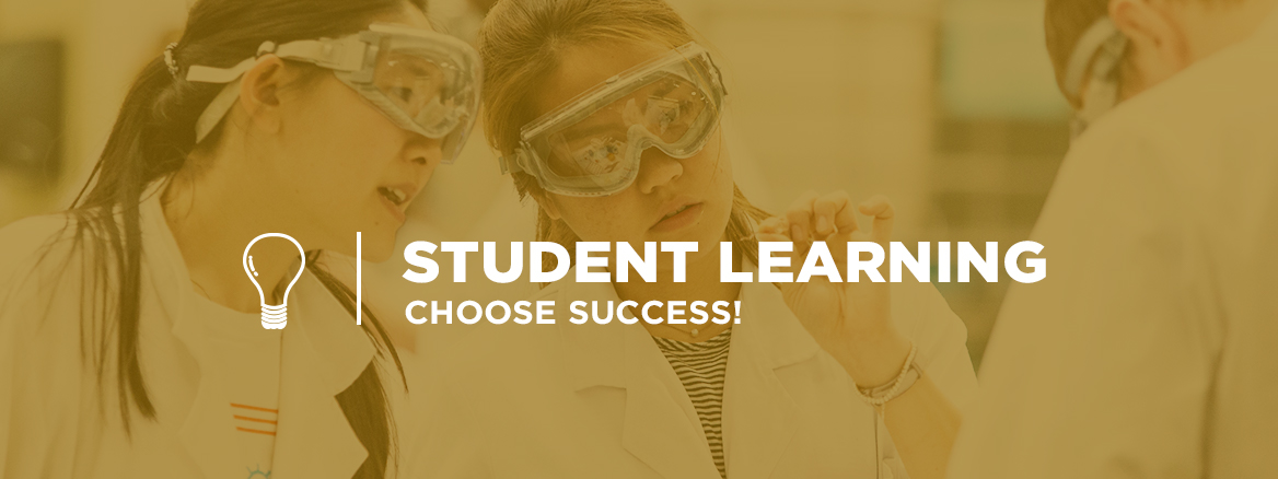 Student Learning and Faculty Development: Choose Success!