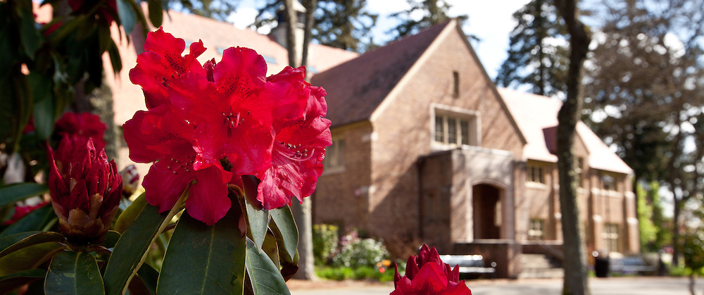 plu flower