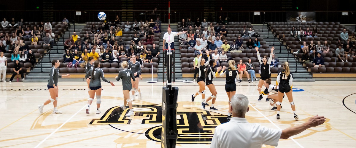 Volleyball Advancement PLU