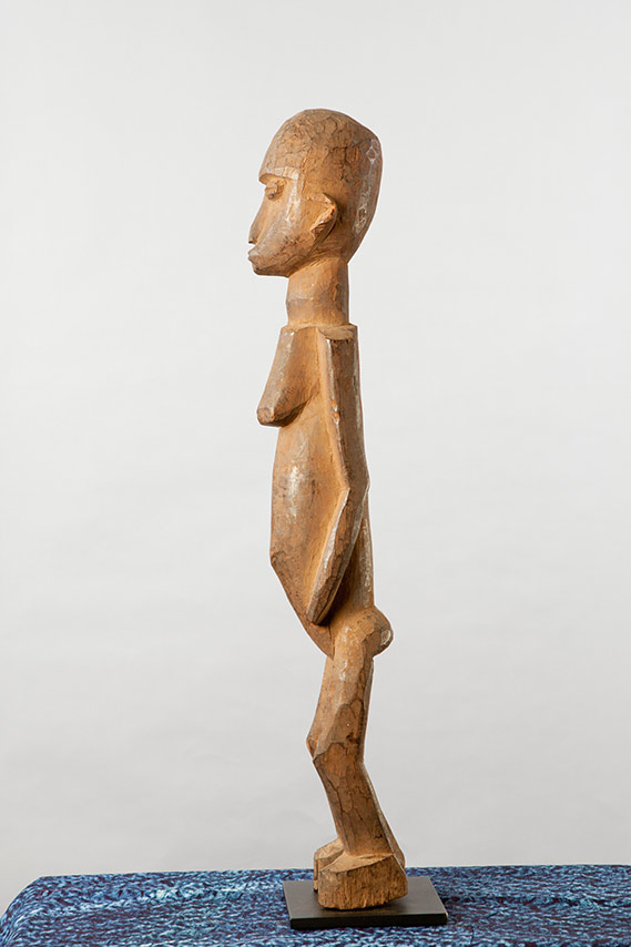 lobi-figure-1-left