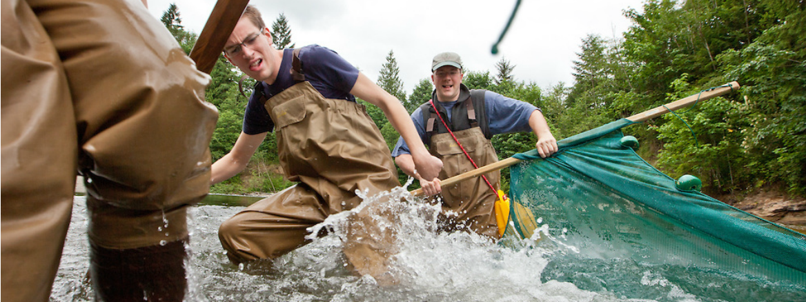 Students dragging a net in a river.