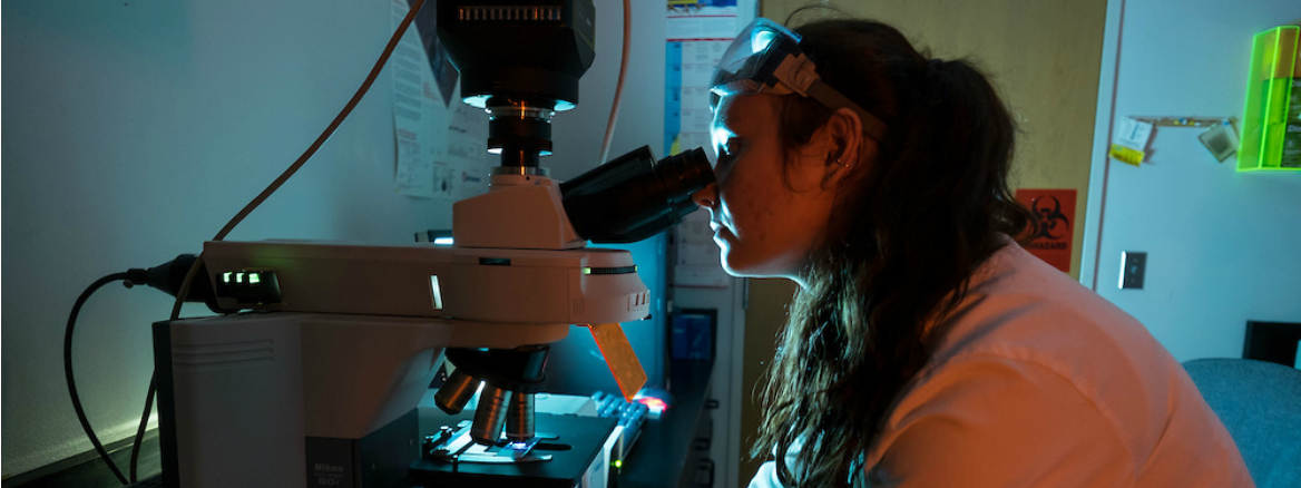 A student looking through a microsope in a lab.