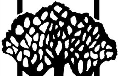 Oak tree logo