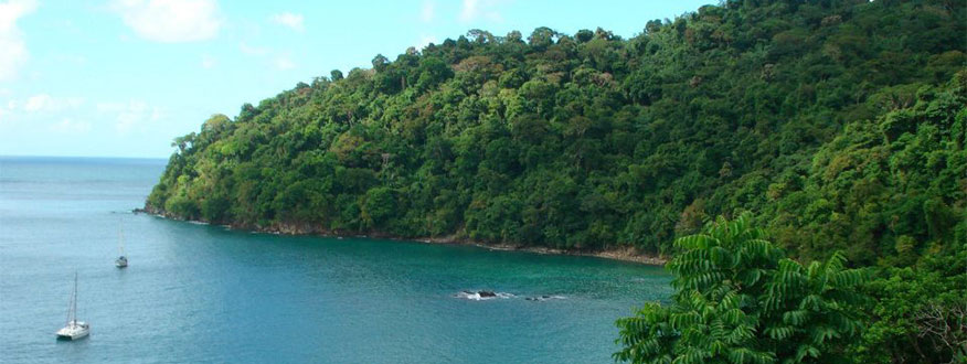Bay in Trinidad.