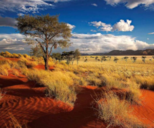 Image of the landscape of Namibia