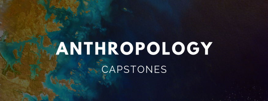 Spring 2019 capstones banner