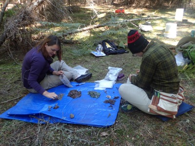 Georgia Abrams and Paulina Przystupa sorting artifacts.