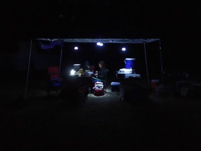 OLYMPUS DIGITAL CAMERA Georgia Abrams hard at work at night at the field camp.