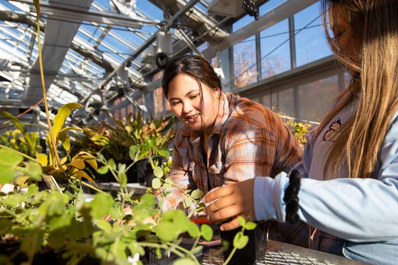 Students in Biology 358 titled “Plant Physiology” take measurements of their pea plants in the greenhouse, Thursday, Nov. 17, 2022, at PLU. (PLU Photo / Sy Bean)