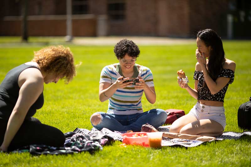 Group of young people having a picnic on the grass.
