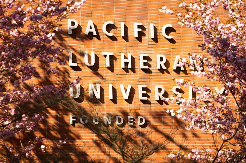 A sunny spring day on campus, Wednesday, April 16, 2025, at PLU. (PLU Photo / Sy Bean)