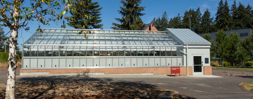 Greenhouse