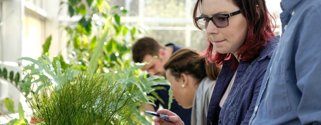 Students looking at plant