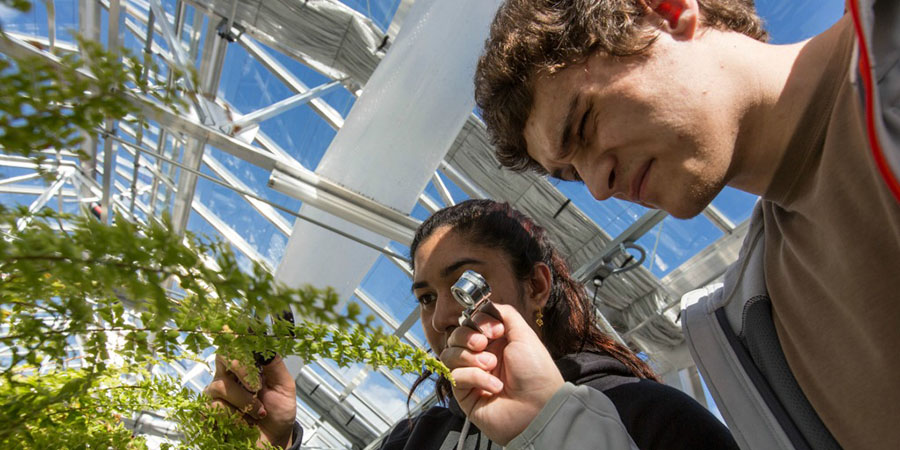 students-looking-at-plant-2