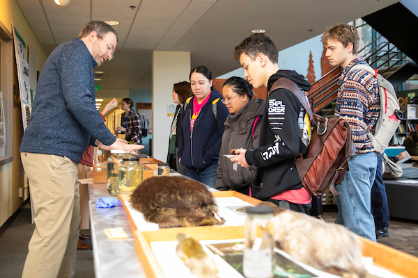 The Biology Department has several bird, mammal, and plant specimens that demonstrate different Darwinian properties are on display in the Rieke Lobby for the annual Darwin Day Celebration, Monday, Feb. 13, 2023, at PLU. (PLU Photo / Sy Bean)